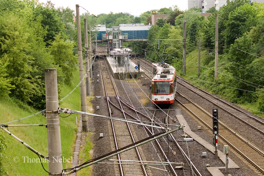 Tannenbusch Mitte