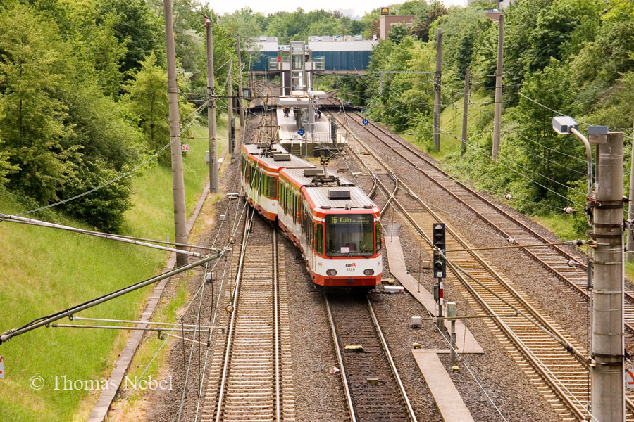 Tannenbusch Mitte